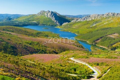 Villa i Cambas, Castelo Branco, Cambas - € 265.500 | Ref: ZMPT576237 - foto 44