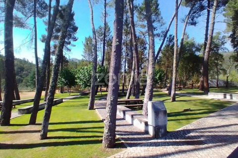 Villa i Cambas, Castelo Branco, Cambas - € 265.500 | Ref: ZMPT576237 - foto 47