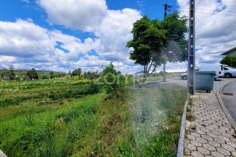 Helårsgrund i Mangualde, Viseu, Mangualde - € 27.500 | Ref: ZMPT577023 - foto 2