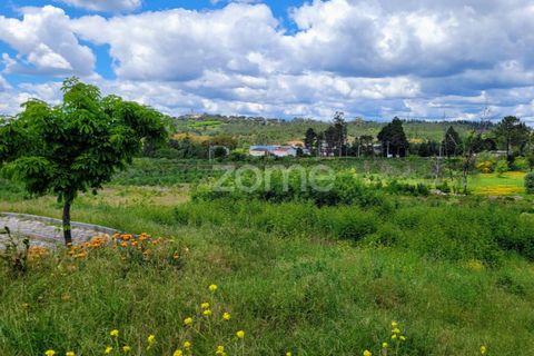 Helårsgrund i Mangualde, Viseu, Mangualde - € 27.500 | Ref: ZMPT577023 - foto 5