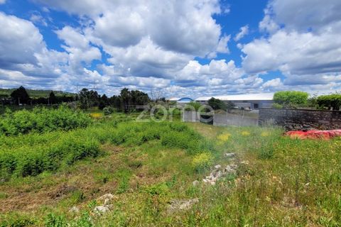 Helårsgrund i Mangualde, Viseu, Mangualde - € 27.500 | Ref: ZMPT577023 - foto 11