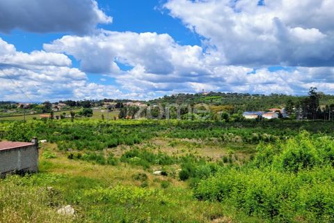 Helårsgrund i Mangualde, Viseu, Mangualde - € 27.500 | Ref: ZMPT577023 - foto 12