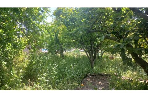 Villa a Pernes, Santarem, Pernes - € 215.000 | Ref: TM97345 - foto 20