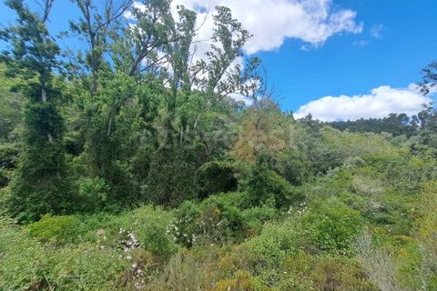Helårsgrund i Ourique, Beja, Ourique - € 65.000 | Ref: BJ97379 - foto 1
