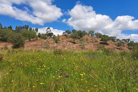 Helårsgrund i Ourique, Beja, Ourique - € 65.000 | Ref: BJ97379 - foto 2