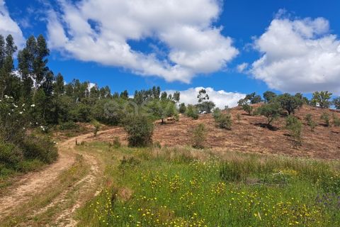 Helårsgrund i Ourique, Beja, Ourique - € 65.000 | Ref: BJ97379 - foto 3