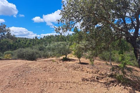 Helårsgrund i Ourique, Beja, Ourique - € 65.000 | Ref: BJ97379 - foto 4