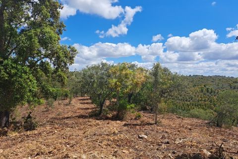 Helårsgrund i Ourique, Beja, Ourique - € 65.000 | Ref: BJ97379 - foto 5