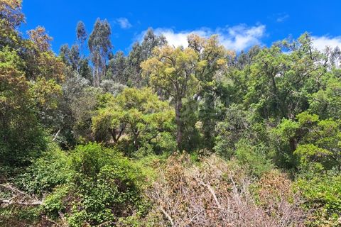 Helårsgrund i Ourique, Beja, Ourique - € 65.000 | Ref: BJ97379 - foto 7