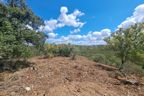 Helårsgrund i Ourique, Beja, Ourique - € 65.000 | Ref: BJ97379 - foto 8