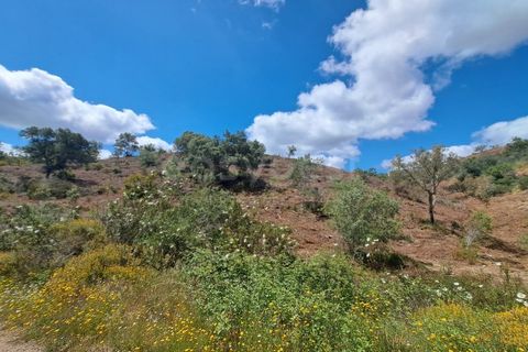 Helårsgrund i Ourique, Beja, Ourique - € 65.000 | Ref: BJ97379 - foto 9