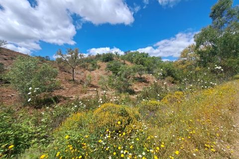 Helårsgrund i Ourique, Beja, Ourique - € 65.000 | Ref: BJ97379 - foto 10