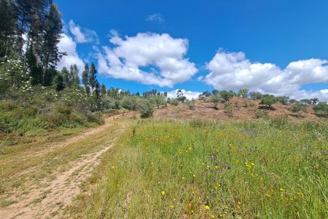 Helårsgrund i Ourique, Beja, Ourique - € 65.000 | Ref: BJ97379 - foto 11