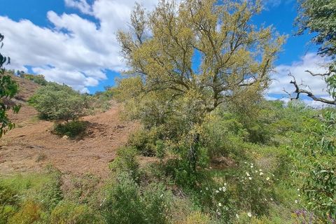 Helårsgrund i Ourique, Beja, Ourique - € 65.000 | Ref: BJ97379 - foto 12
