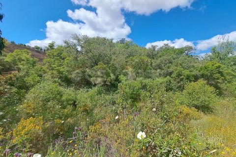 Helårsgrund i Ourique, Beja, Ourique - € 65.000 | Ref: BJ97379 - foto 13