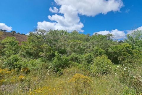Helårsgrund i Ourique, Beja, Ourique - € 65.000 | Ref: BJ97379 - foto 14