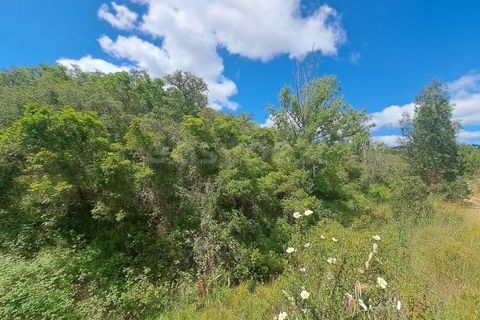 Helårsgrund i Ourique, Beja, Ourique - € 65.000 | Ref: BJ97379 - foto 15