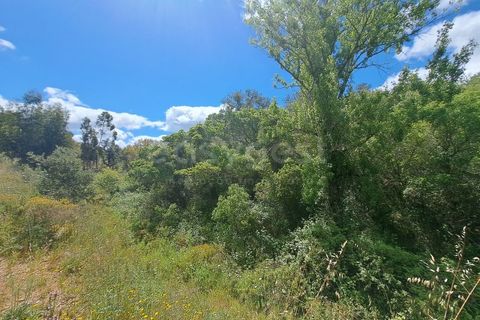 Helårsgrund i Ourique, Beja, Ourique - € 65.000 | Ref: BJ97379 - foto 16