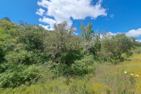 Helårsgrund i Ourique, Beja, Ourique - € 65.000 | Ref: BJ97379 - foto 17