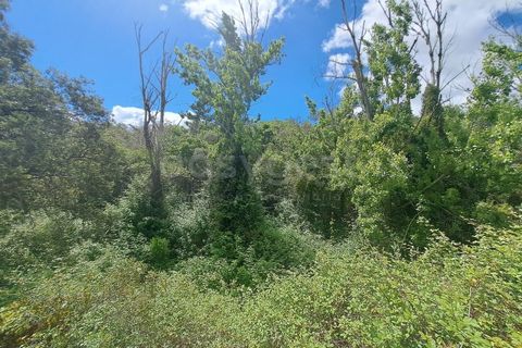 Helårsgrund i Ourique, Beja, Ourique - € 65.000 | Ref: BJ97379 - foto 18