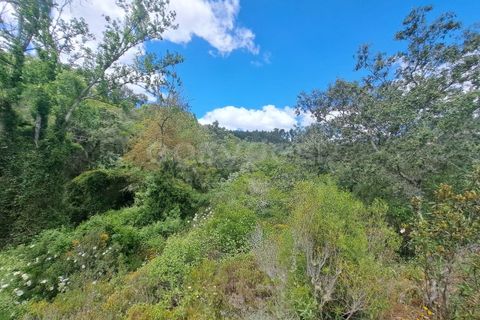 Helårsgrund i Ourique, Beja, Ourique - € 65.000 | Ref: BJ97379 - foto 19