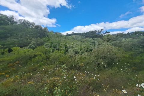 Helårsgrund i Ourique, Beja, Ourique - € 65.000 | Ref: BJ97379 - foto 20