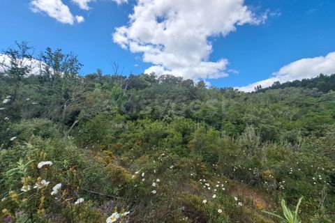 Helårsgrund i Ourique, Beja, Ourique - € 65.000 | Ref: BJ97379 - foto 21