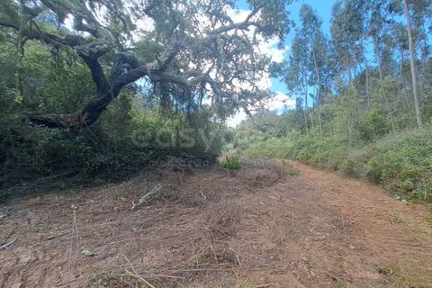 Helårsgrund i Ourique, Beja, Ourique - € 65.000 | Ref: BJ97379 - foto 22