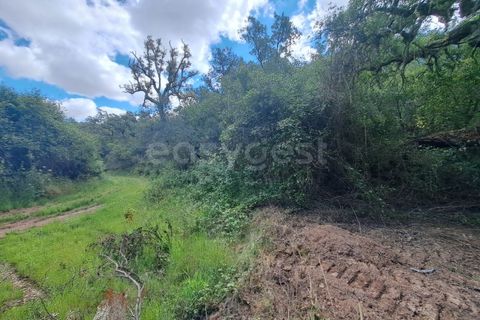 Helårsgrund i Ourique, Beja, Ourique - € 65.000 | Ref: BJ97379 - foto 23