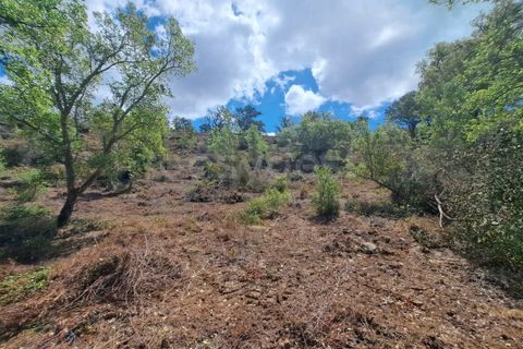 Helårsgrund i Ourique, Beja, Ourique - € 65.000 | Ref: BJ97379 - foto 24