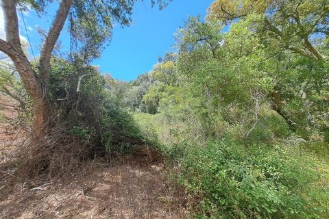 Helårsgrund i Ourique, Beja, Ourique - € 65.000 | Ref: BJ97379 - foto 25