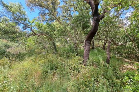 Helårsgrund i Ourique, Beja, Ourique - € 65.000 | Ref: BJ97379 - foto 26