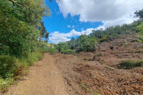 Helårsgrund i Ourique, Beja, Ourique - € 65.000 | Ref: BJ97379 - foto 27