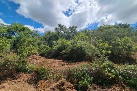 Helårsgrund i Ourique, Beja, Ourique - € 65.000 | Ref: BJ97379 - foto 28