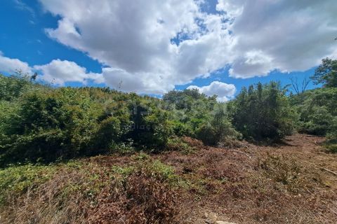 Helårsgrund i Ourique, Beja, Ourique - € 65.000 | Ref: BJ97379 - foto 30