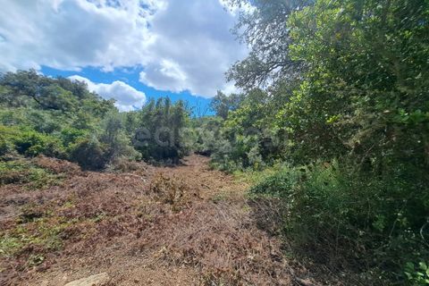 Helårsgrund i Ourique, Beja, Ourique - € 65.000 | Ref: BJ97379 - foto 31