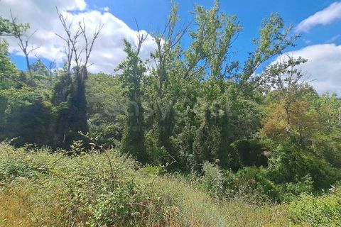Helårsgrund i Ourique, Beja, Ourique - € 65.000 | Ref: BJ97379 - foto 32