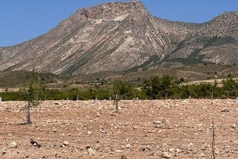 Terra a Lorca, Murcia, Lorca - € 229.000 | Ref: es5554632 - foto 4
