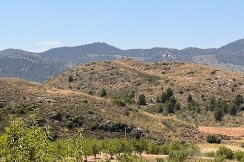 Terra a Lorca, Murcia, Lorca - € 229.000 | Ref: es5554632 - foto 5