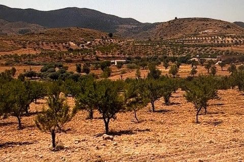 Terra a Lorca, Murcia, Lorca - € 229.000 | Ref: es5554632 - foto 7