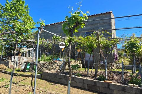 Landejendom i Castelo Branco, Castelo Branco, Castelo Branco - € 160.000 | Ref: 2820 - foto 5