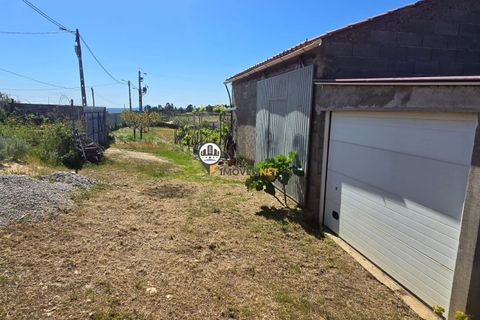 Landejendom i Castelo Branco, Castelo Branco, Castelo Branco - € 160.000 | Ref: 2820 - foto 6
