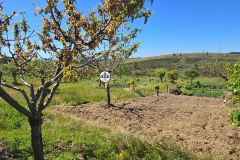 Landejendom i Castelo Branco, Castelo Branco, Castelo Branco - € 160.000 | Ref: 2820 - foto 7