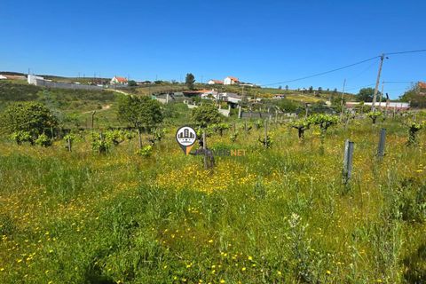 Landejendom i Castelo Branco, Castelo Branco, Castelo Branco - € 160.000 | Ref: 2820 - foto 8