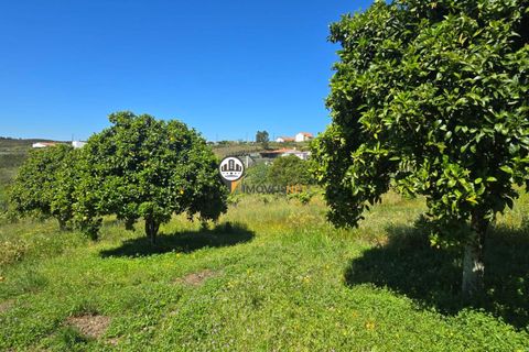Landejendom i Castelo Branco, Castelo Branco, Castelo Branco - € 160.000 | Ref: 2820 - foto 10