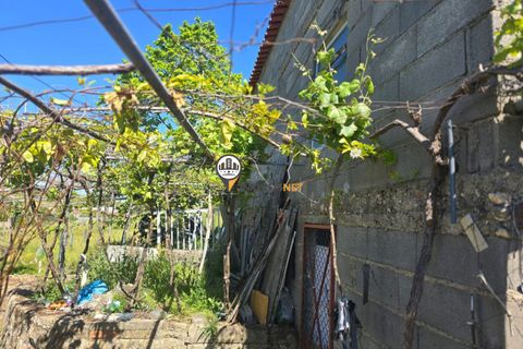 Landejendom i Castelo Branco, Castelo Branco, Castelo Branco - € 160.000 | Ref: 2820 - foto 17