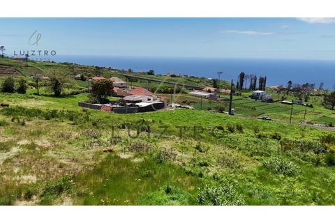 Helårsgrund i Ponta do Pargo, Madeira, Ponta do Pargo - € 92.000 | Ref: SÒL_72 - foto 14