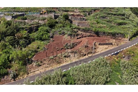 Helårsgrund i Calheta, Madeira, Calheta - € 195.000 | Ref: SÒL_71 - foto 21