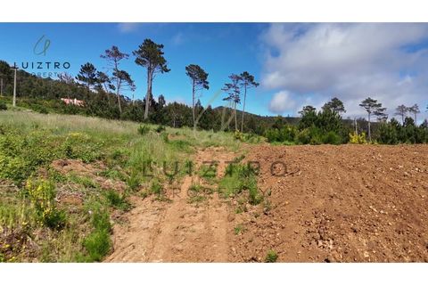 Helårsgrund i Calheta, Madeira, Calheta - € 320.000 | Ref: SÒL_70 - foto 9