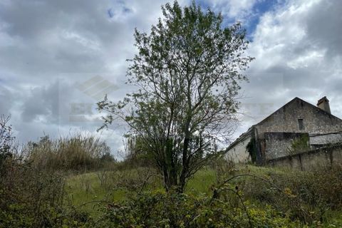 Helårsgrund i Alenquer, Lisbon, Alenquer - € 120.000 | Ref: SÒL_290 - foto 7
